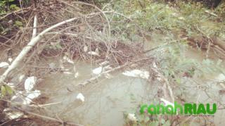 Temuan Limbah Perusahaan, Ketua IPMTR : Jika tidak mau taat hukum cabut aja izin operasionalnya